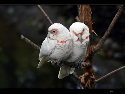 A natureza da ciência