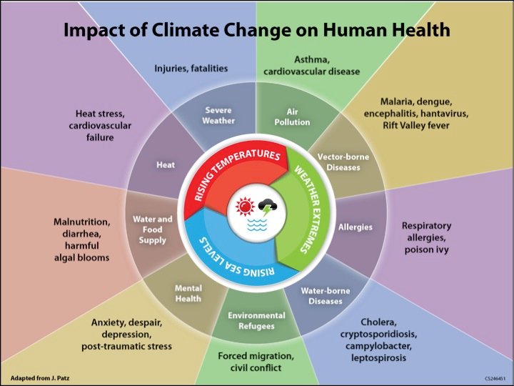 Os impactos das alterações climáticas sobre a saúde