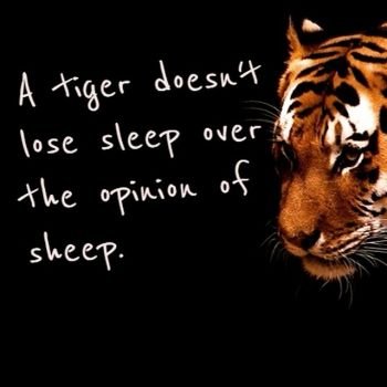 Stop to impress others