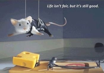 Life Isn’t Fair
